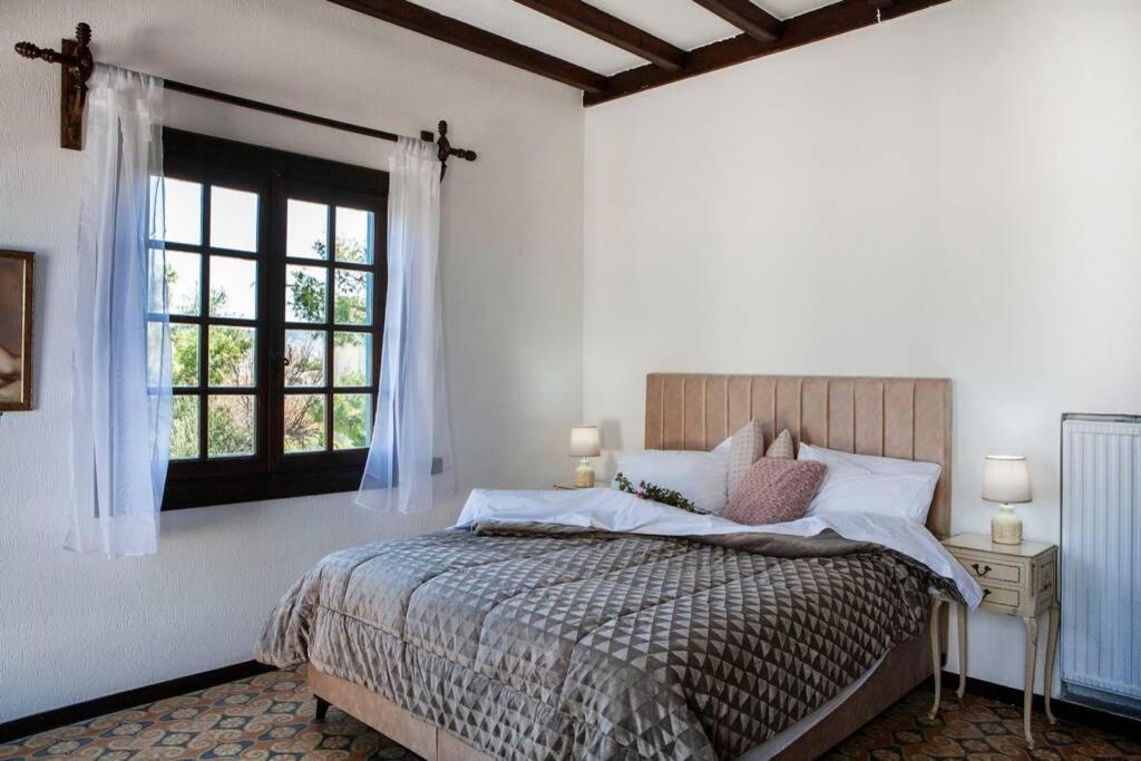 Villa Velissarios: Wonderful Villa Next To Beach Aegina Экстерьер фото