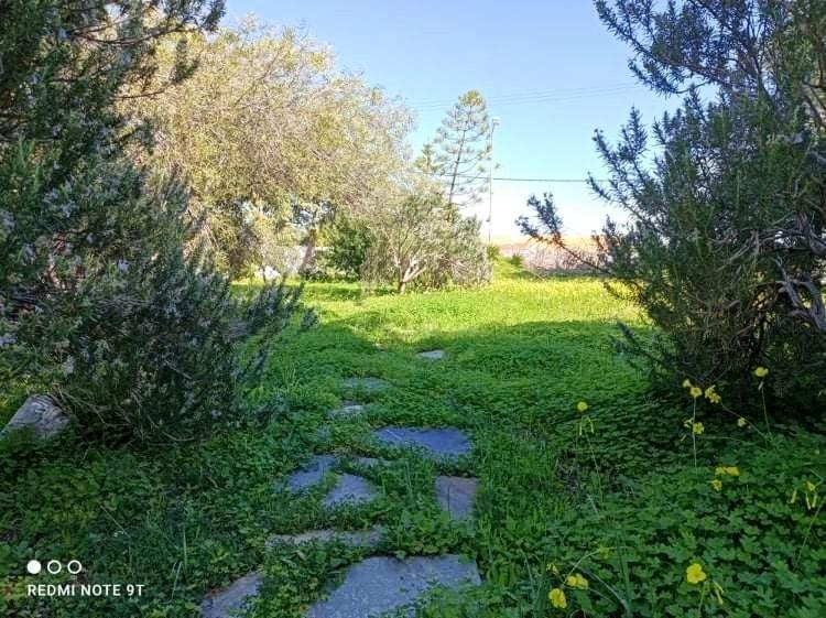 Villa Velissarios: Wonderful Villa Next To Beach Aegina Экстерьер фото