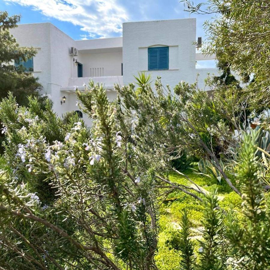 Villa Velissarios: Wonderful Villa Next To Beach Aegina Экстерьер фото